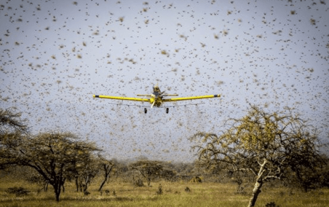 Application of Drones in Agriculture in India