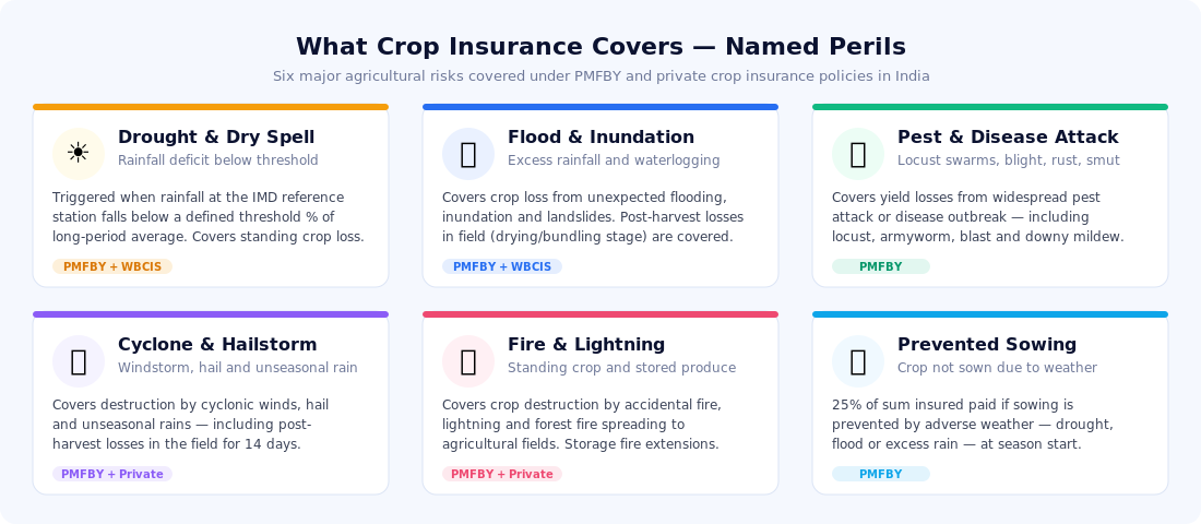 What crop insurance covers in India — six named perils including drought, flood, pest and cyclone