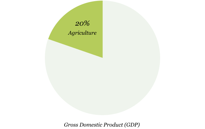 Gross Domestic Product