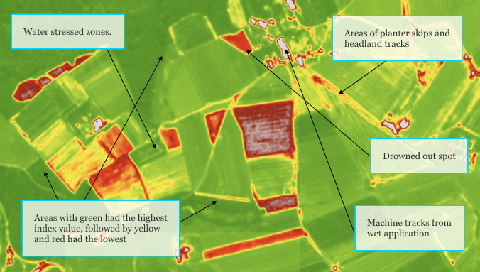 Normalized difference vegetation index