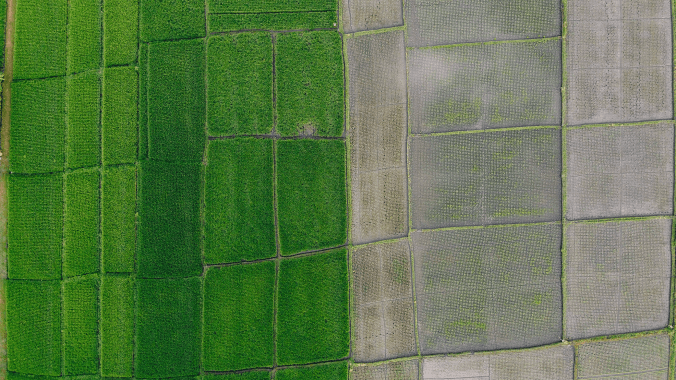 Areal view of field from drone