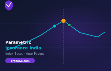 Parametric Insurance India