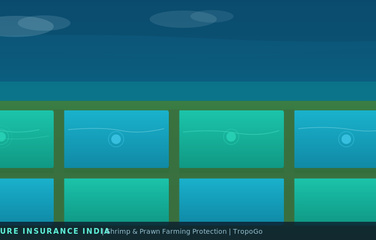 Shrimp and Prawn Farming Insurance India
